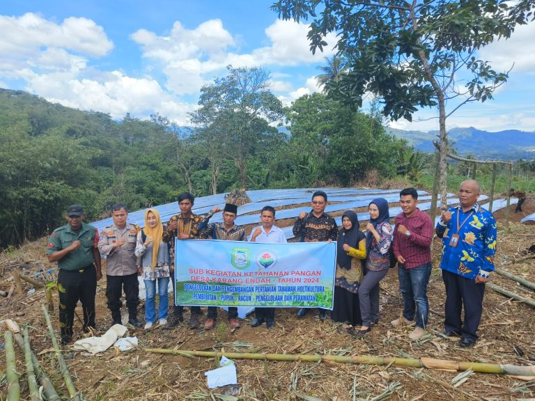 Selain Kegiatan Fisik, DD 2024 Karang Endah Utamakan Penanaman Hortikultura Selain Kegiatan Fisik, DD 2024 Karang Endah Utamakan Penanaman Hortikultura
