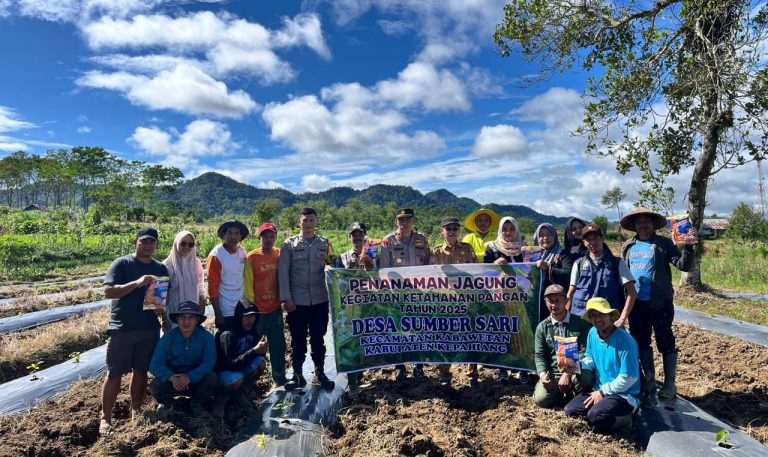 Mendukung  Penuh Program Asta Cita Presiden, Desa Sumber Sari Sukses Menanam Jagung Mendukung  Penuh Program Asta Cita Presiden, Desa Sumber Sari Sukses Menanam Jagung